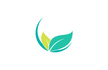 green leaf vector beauty logo