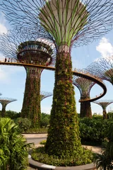 Zelfklevend Fotobehang Singapore - March,2016.Supertrees in Gardens by the Bay in Singa © Tomasz Kubis