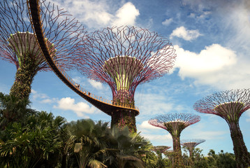 Fototapeta na wymiar Singapore - March,2016.Gardens by the Bay in Singapore in March,