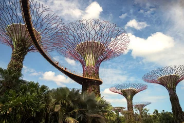 Papier Peint photo autocollant Singapour Singapore - March,2016.Gardens by the Bay in Singapore in March,