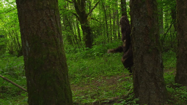 Sasquatch (Big Foot) walking through woods
