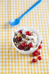 Joghurt mit Müsli und Früchten