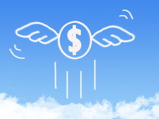 Money fly on Cloud shaped ,dream concept