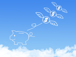  lost money fly on Cloud shaped ,dream concept