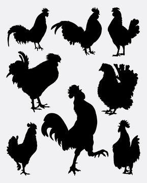 Rooster poultry animal silhouette 3. Good use for symbol, logo, web icon, mascot, game elements, object, sign, or any design you want. Easy to use.