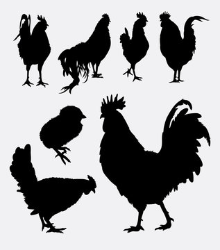Rooster poultry animal silhouette 4. Good use for symbol, logo, web icon, mascot, game elements, object, sign, or any design you want. Easy to use.