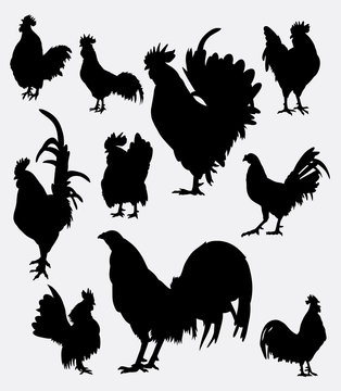 Rooster poultry animal silhouette 5. Good use for symbol, logo, web icon, mascot, game elements, object, sign, or any design you want. Easy to use.