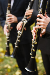 Fototapeta premium group of musicians playing the clarinet.
