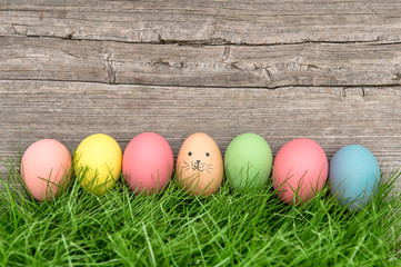 Easter eggs and cute bunny. Funny decoration