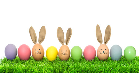 Funny bunny easter eggs. Holidays banner