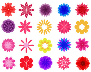 beautiful colorful flowers vector collection in silhouette isolated on white background for design