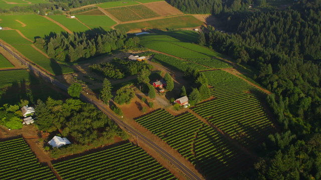 Aerial view of farmland