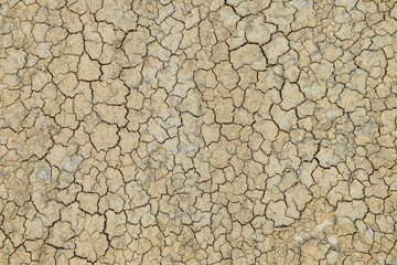 ひび割れた地面,干ばつ