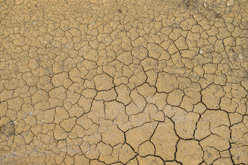ひび割れた地面,干ばつ