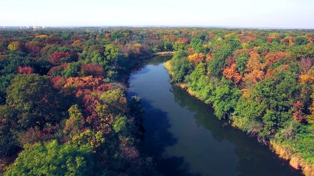 Aerial view of the river in autumn forest