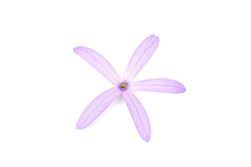 Fototapeta na wymiar Petrea Flowers. (Queen's Wreath, Sandpaper Vine, Purple Wreath) isolated on white