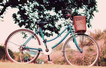 Vintage bicycle waiting near tree in the daytime., in vintage retro tone
