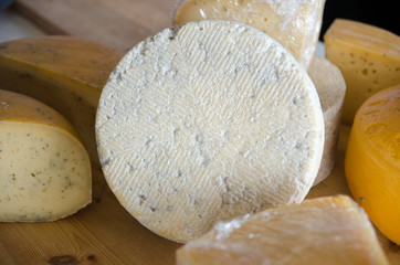 The blue and yellow chees for sale