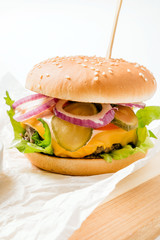 burger with french fries