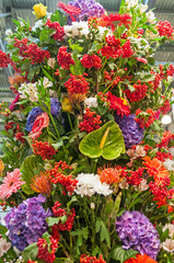 Colorful flower composition background
