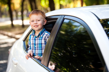 Adorable baby boy in the car