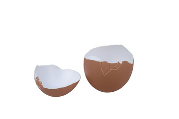  egg shell opening isolated on white background