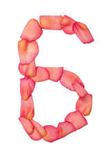 six number made of pink rose petal