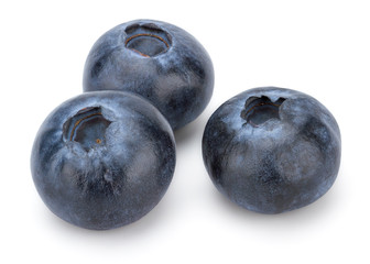 Obraz premium Fresh Blueberry