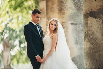 Fototapeta premium Beautiful romantic wedding couple of newlyweds hugging near old castle 