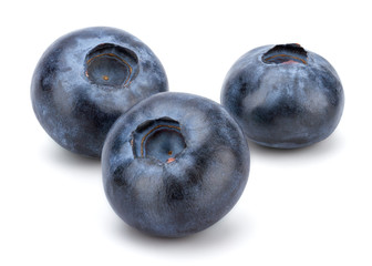 Fresh Blueberry