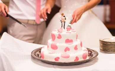 bride and a groom is cutting their wedding cake