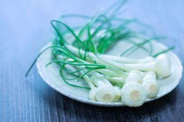 Young green onions  on plate in the morning light.