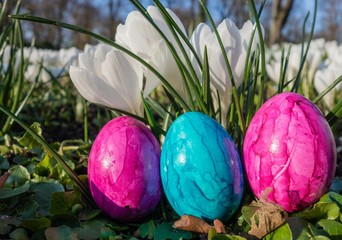 Osterarrangement vor weißen Krokussen