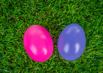 Easter Eggs on Fresh Green Grass