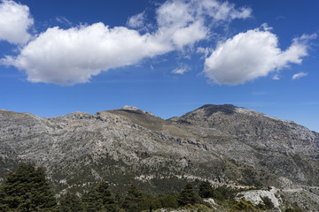 Fototapeta na wymiar hermoso parque natural de la sierra de las Nieves en la provincia de Málaga, Andalucía