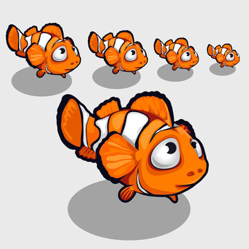 Fun clown fish with big eyes, icon for your design 