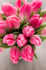 Obraz premium More tulip on the grey background.