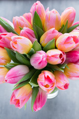 Fototapeta premium Tulip, flowers on the grey background.