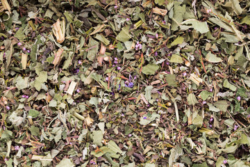 Herbal tea medicinal plants, homeopatic.