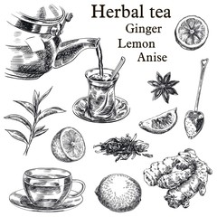 Fototapety  naturalna herbata, cytryna, imbir i anyż gwiazdkowaty