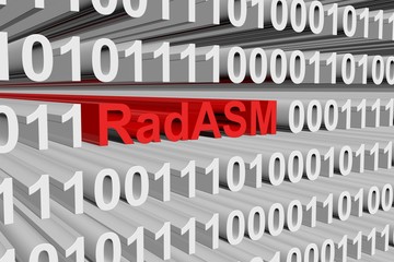 RadASM is presented in the form of binary code