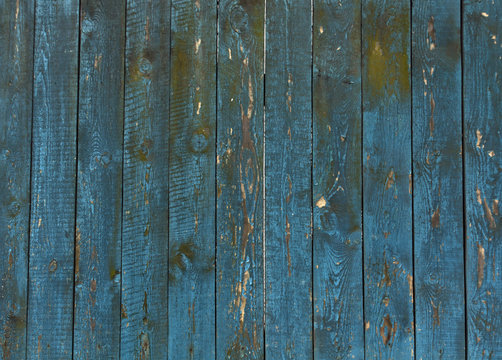 Old blue wooden fence texture.