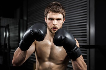 Shirtless man with boxe gloves