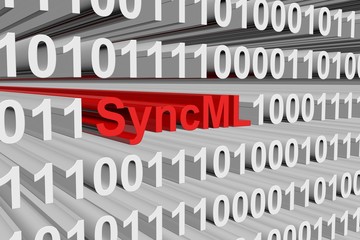 SyncML is represented in the form of binary code