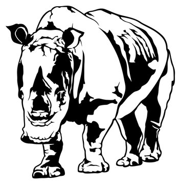 Black and White Rhinoceros - Drawing Illustration, Vector