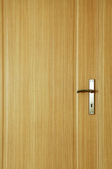 Wood door 