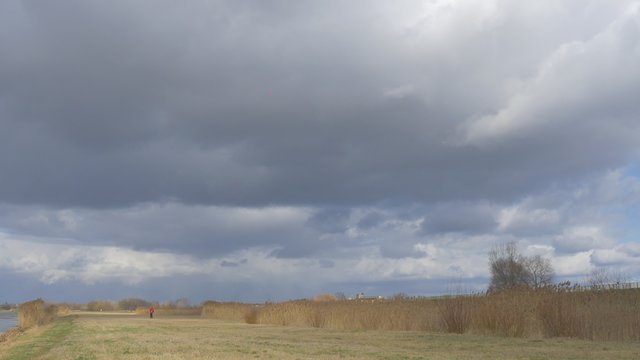 Backpacker is Walking by Dry Field Thunderclouds Are Upon the Field Dry Grass Wheet Stalks Fall Autumn Man in Red Sporty Jacket Sun Behind a Cloud