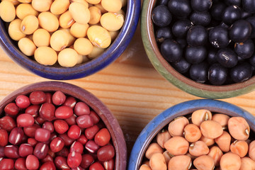 collection of legumes