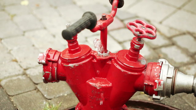 Red fire hydrant summer