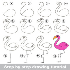 Flamingo. Drawing tutorial.